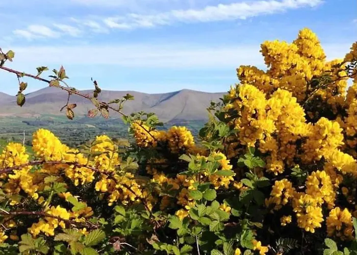 Corderry Farmhouse, Idyllic Amid 250 Acres Casa de Férias *