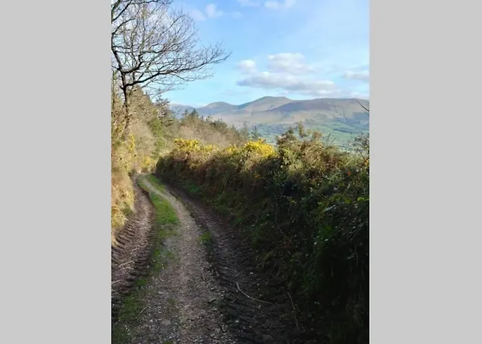 Corderry Farmhouse, Idyllic Amid 250 Acres