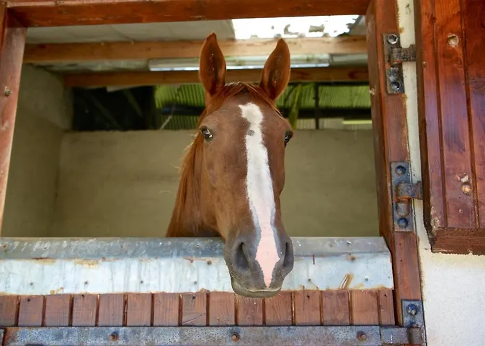 Corderry Farmhouse, Idyllic Amid 250 Acres *